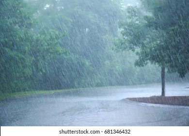 heavy-rain-tree-parking-260nw-681346432.jpg